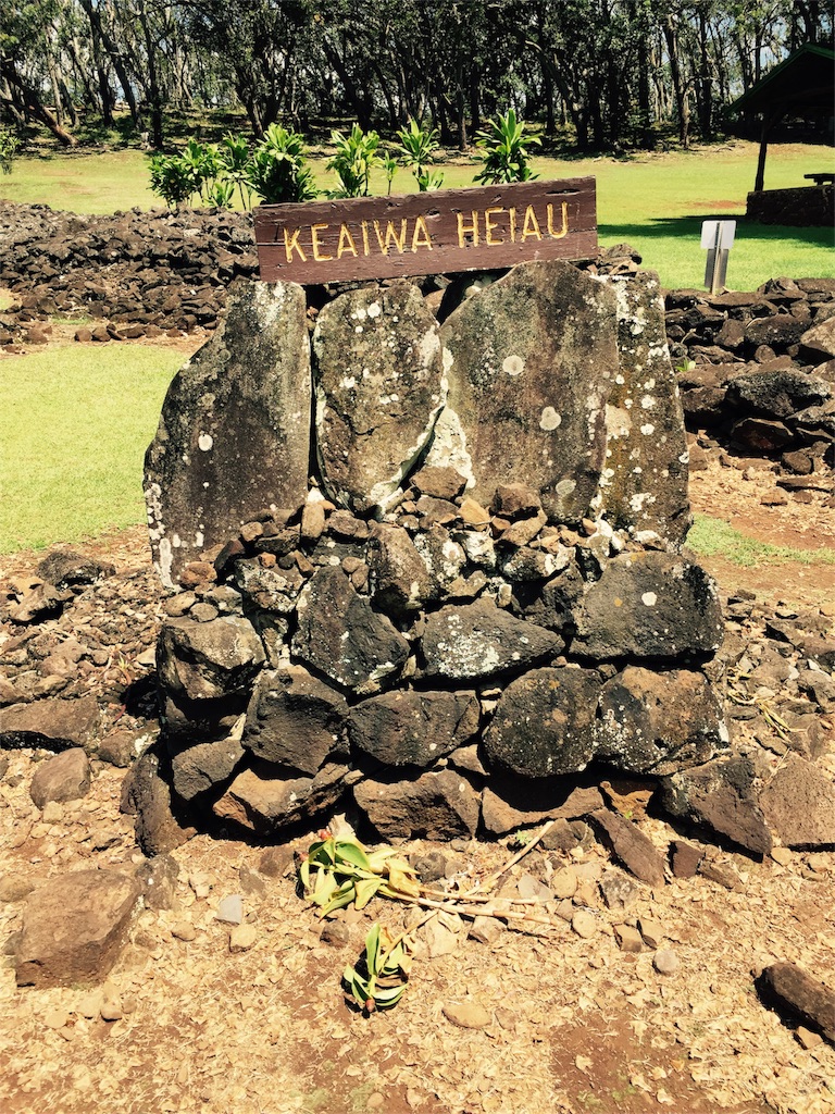 f:id:Cagedsheep:20161117120043j:image