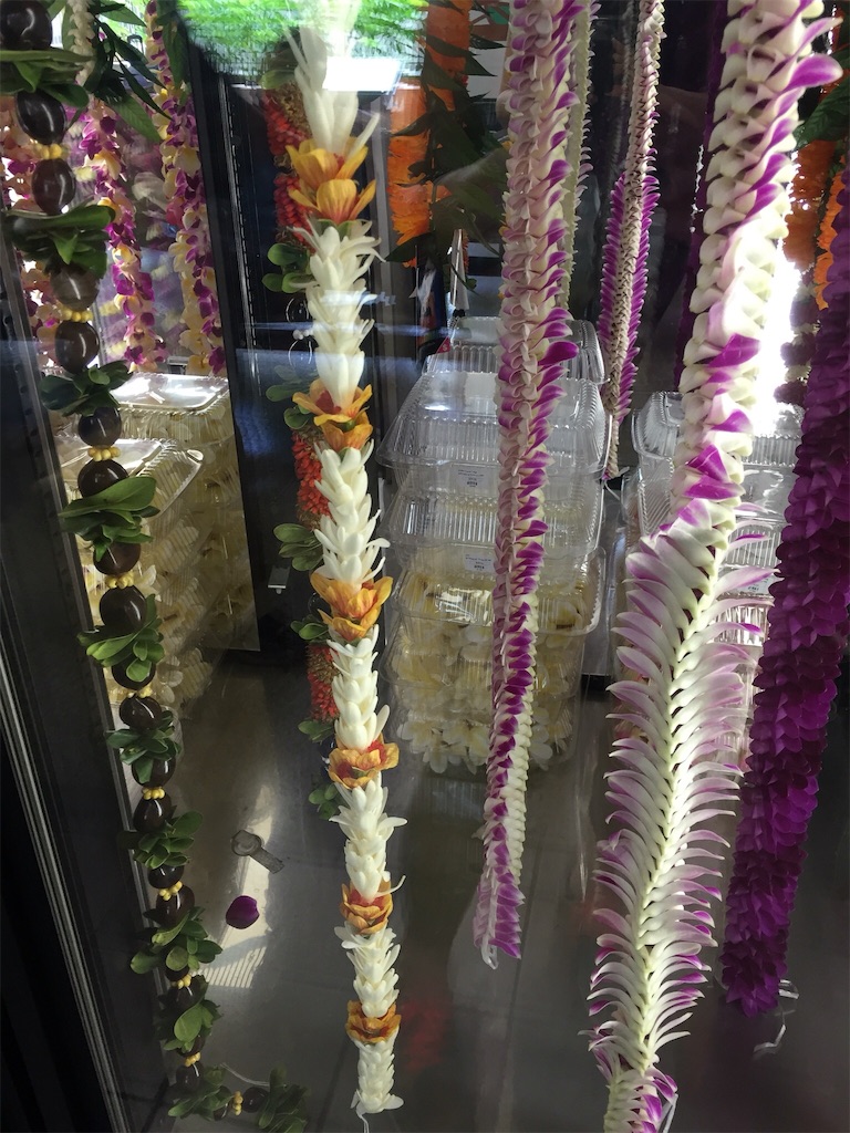 f:id:Cagedsheep:20161117121943j:image