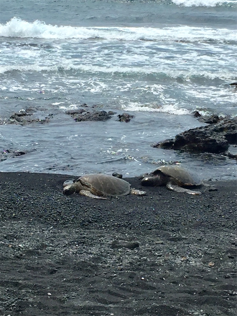 f:id:Cagedsheep:20180808081828j:image