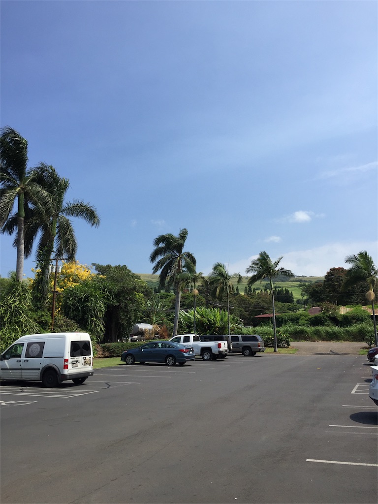 f:id:Cagedsheep:20180808081849j:image