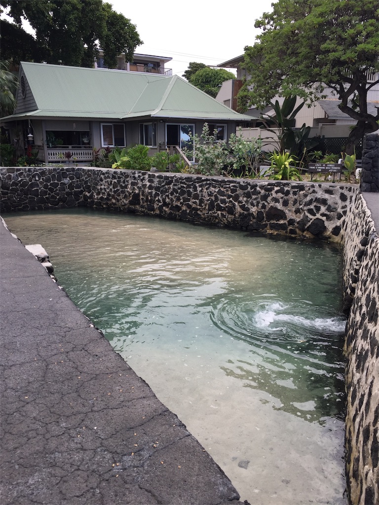 f:id:Cagedsheep:20181023144151j:image