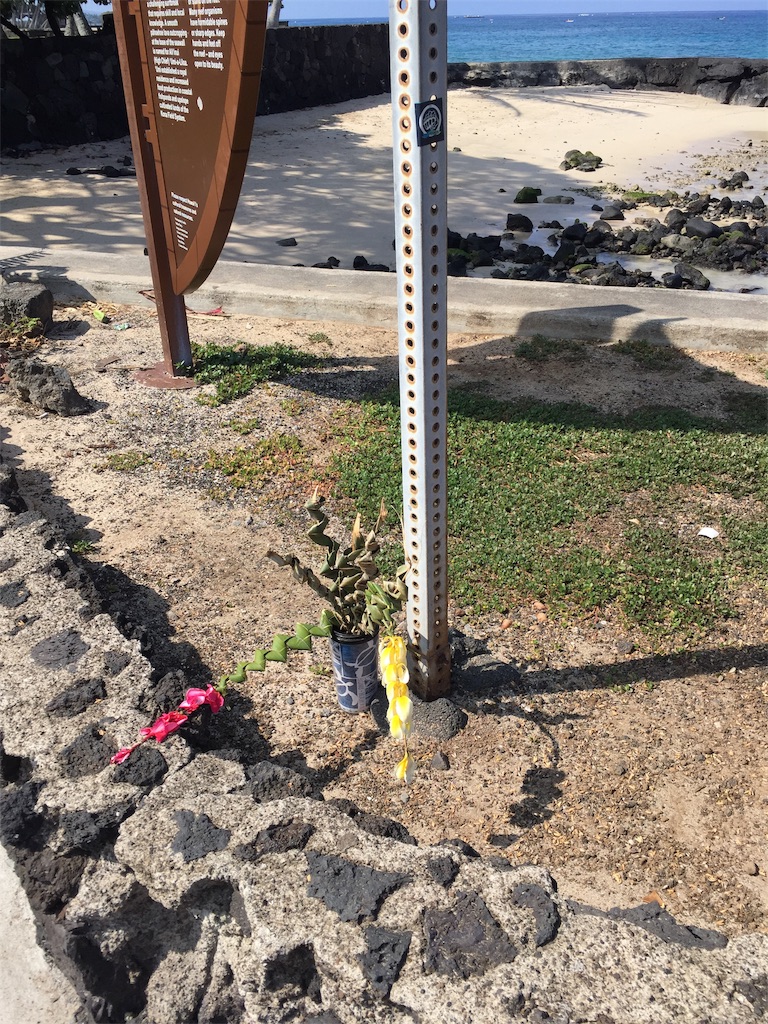 f:id:Cagedsheep:20181023144822j:image