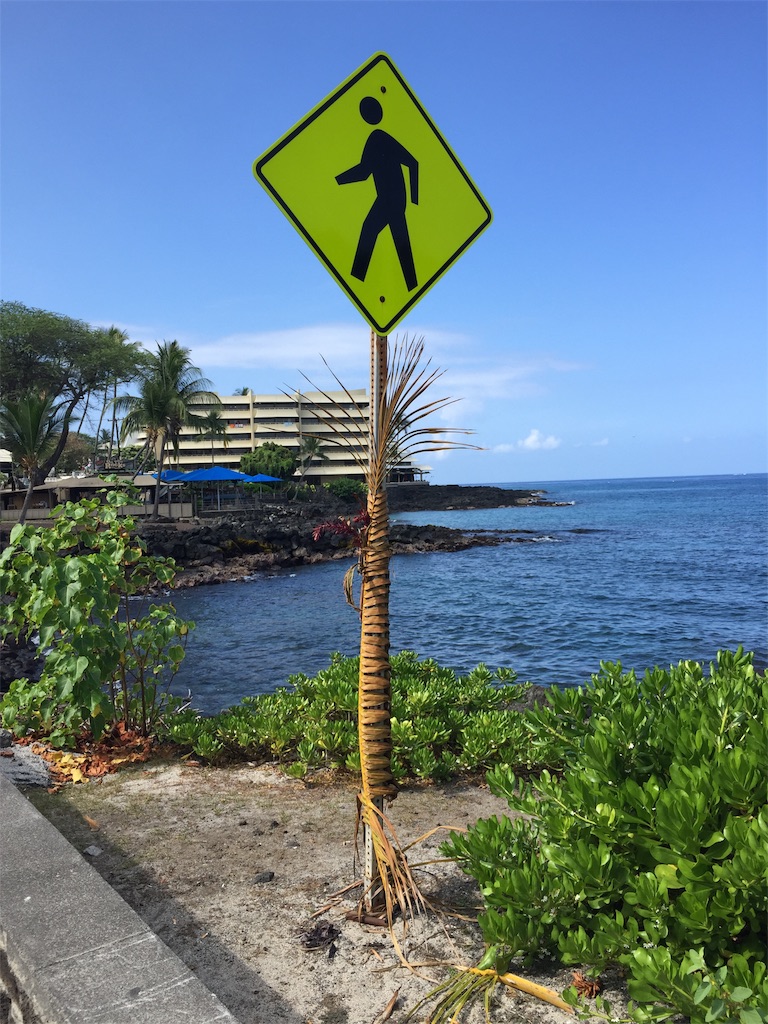 f:id:Cagedsheep:20181023144829j:image