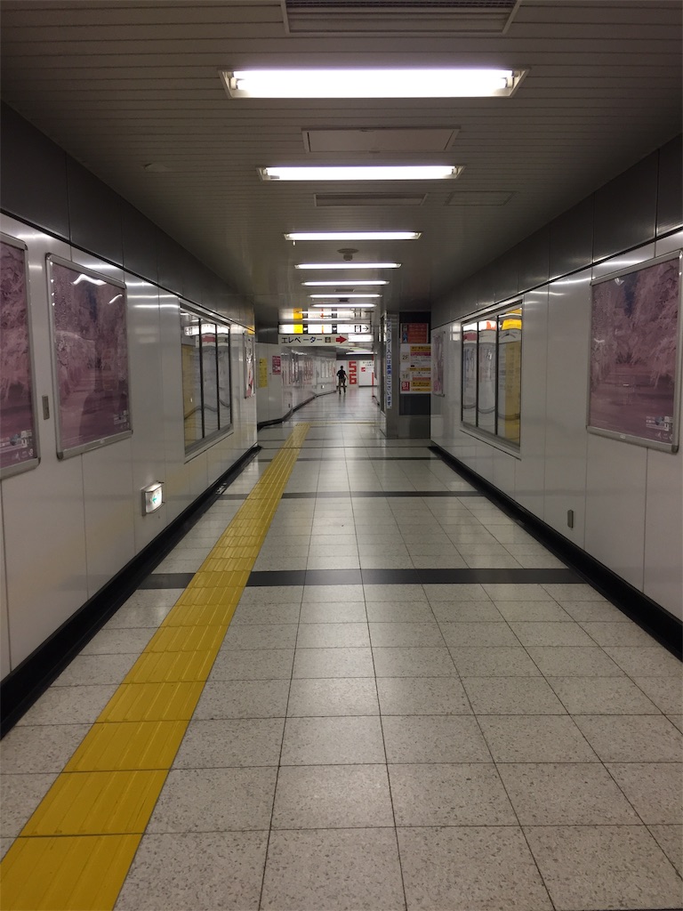 f:id:Cagedsheep:20190114214729j:image