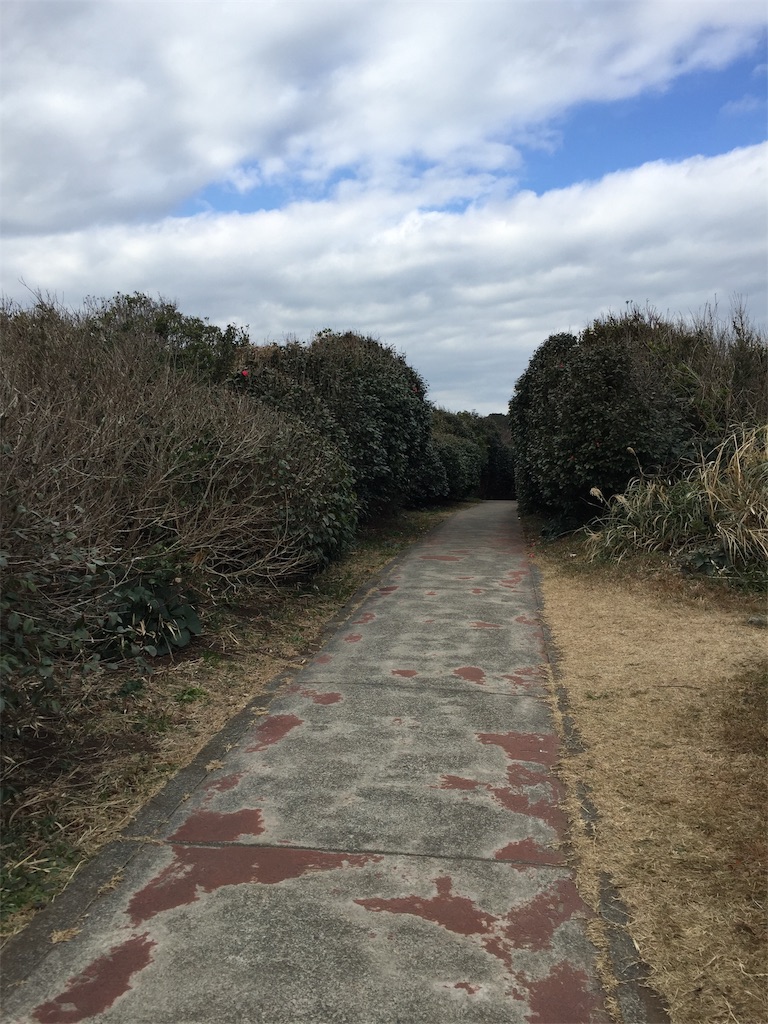 f:id:Cagedsheep:20190119222327j:image