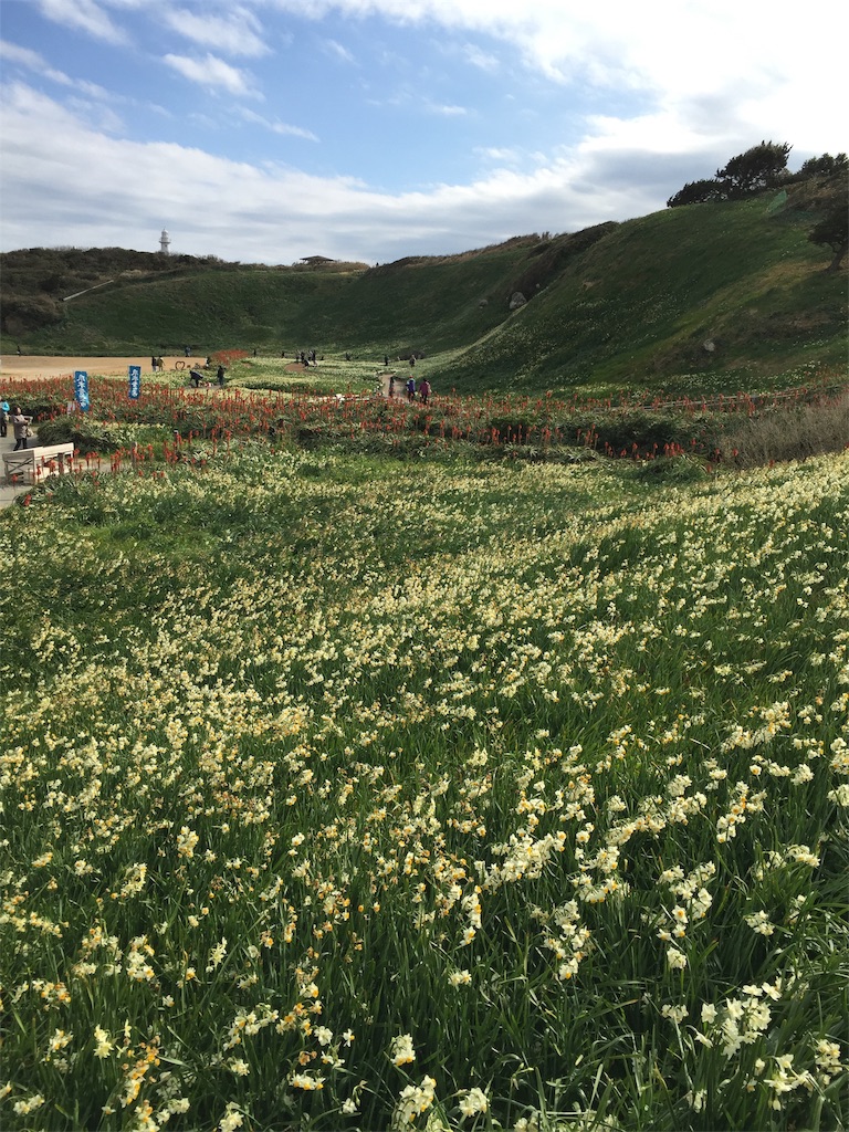 f:id:Cagedsheep:20190120213138j:image