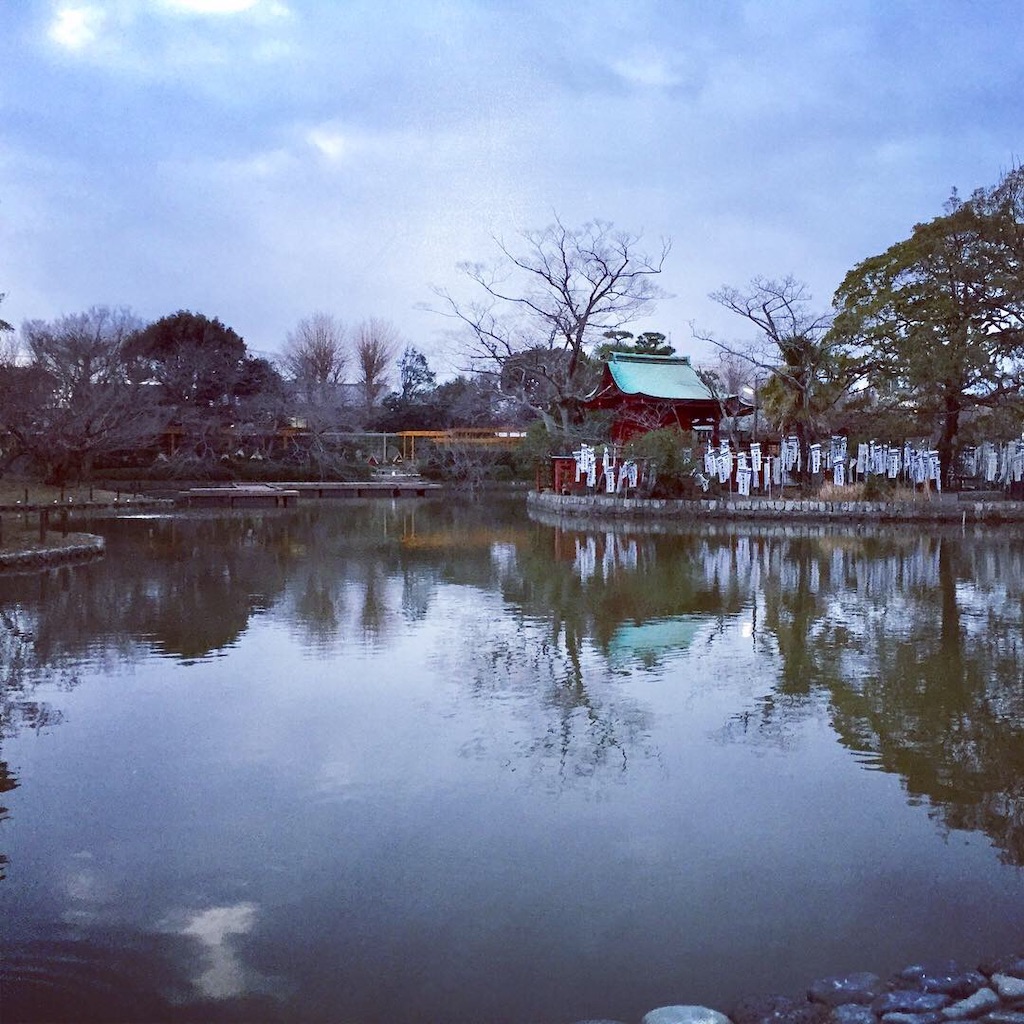 f:id:Cagedsheep:20190212181803j:image