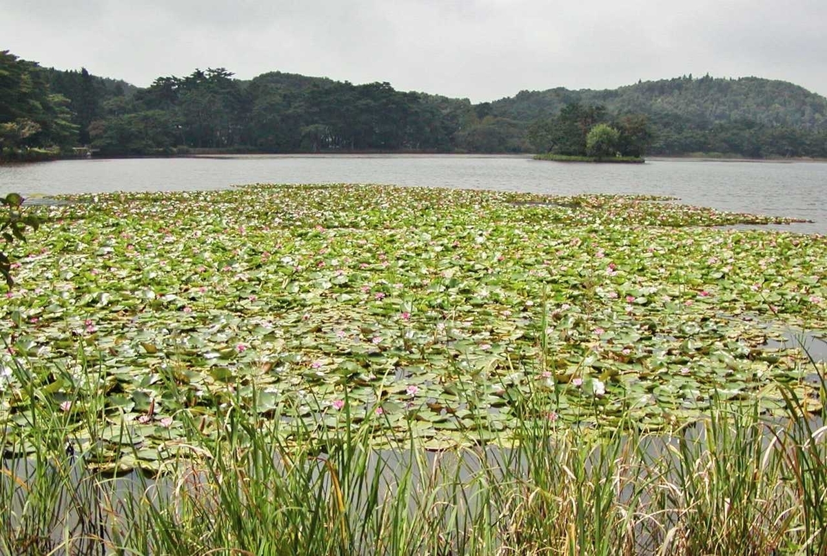 JR新白河駅東口周辺と南湖公園 (福島県)-写真ブログ 東京フォト鉄道