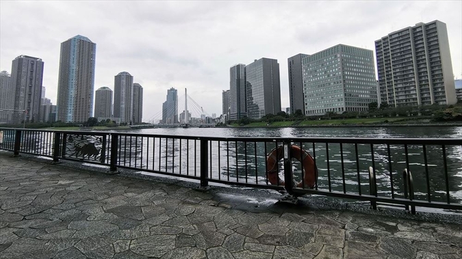 永代公園の風景写真