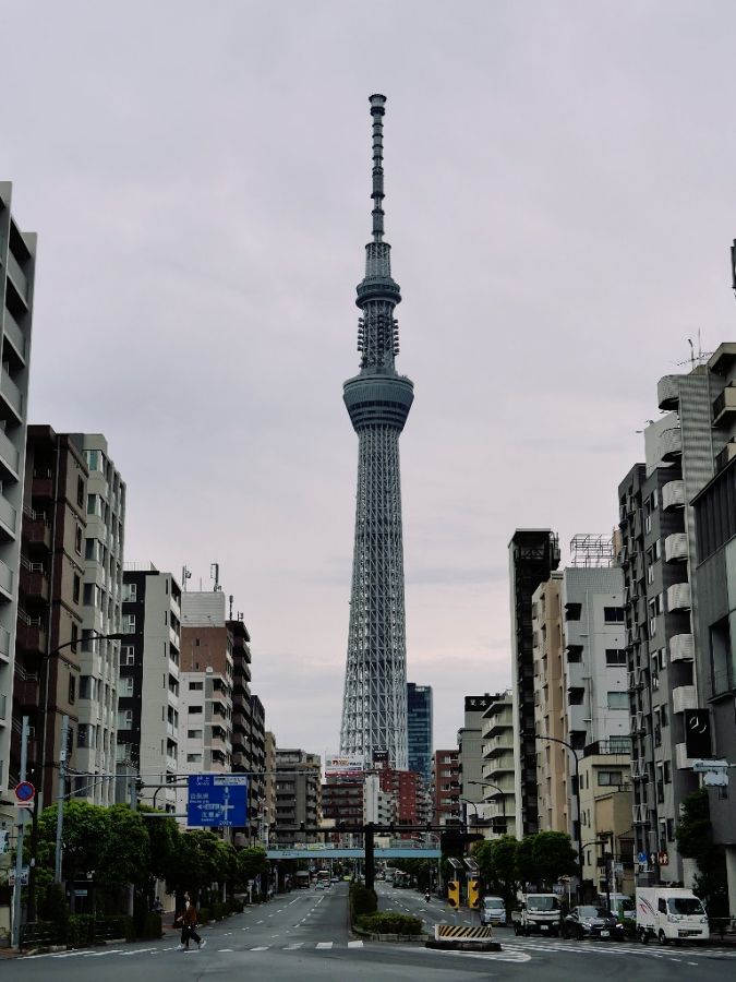駒形橋を渡った所で撮影したスカイツリー