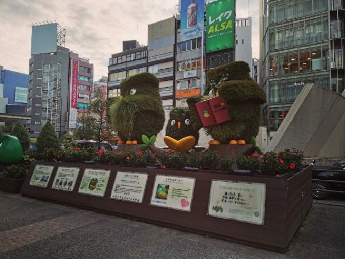 いけふくろう