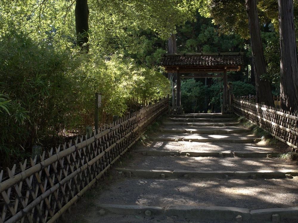 偕楽園の風景写真