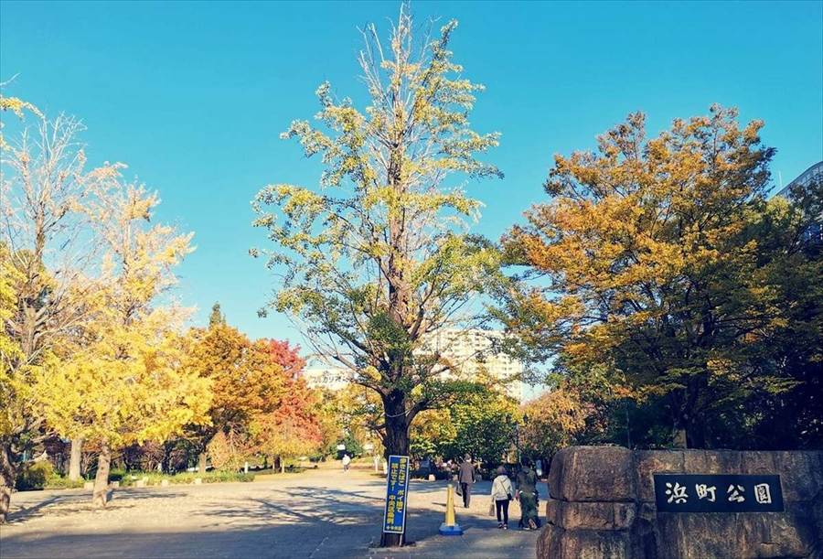 浜町公園