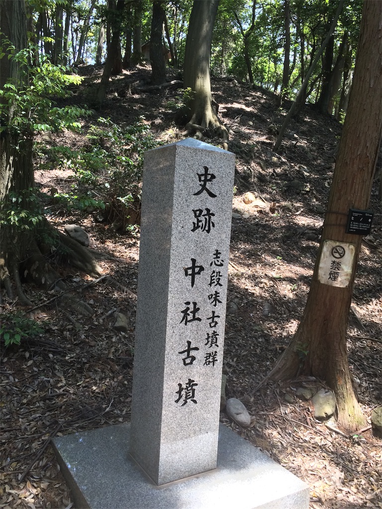 f:id:Camonambam:20190606193837j:image f:id:Camonambam:20190606193837j:image