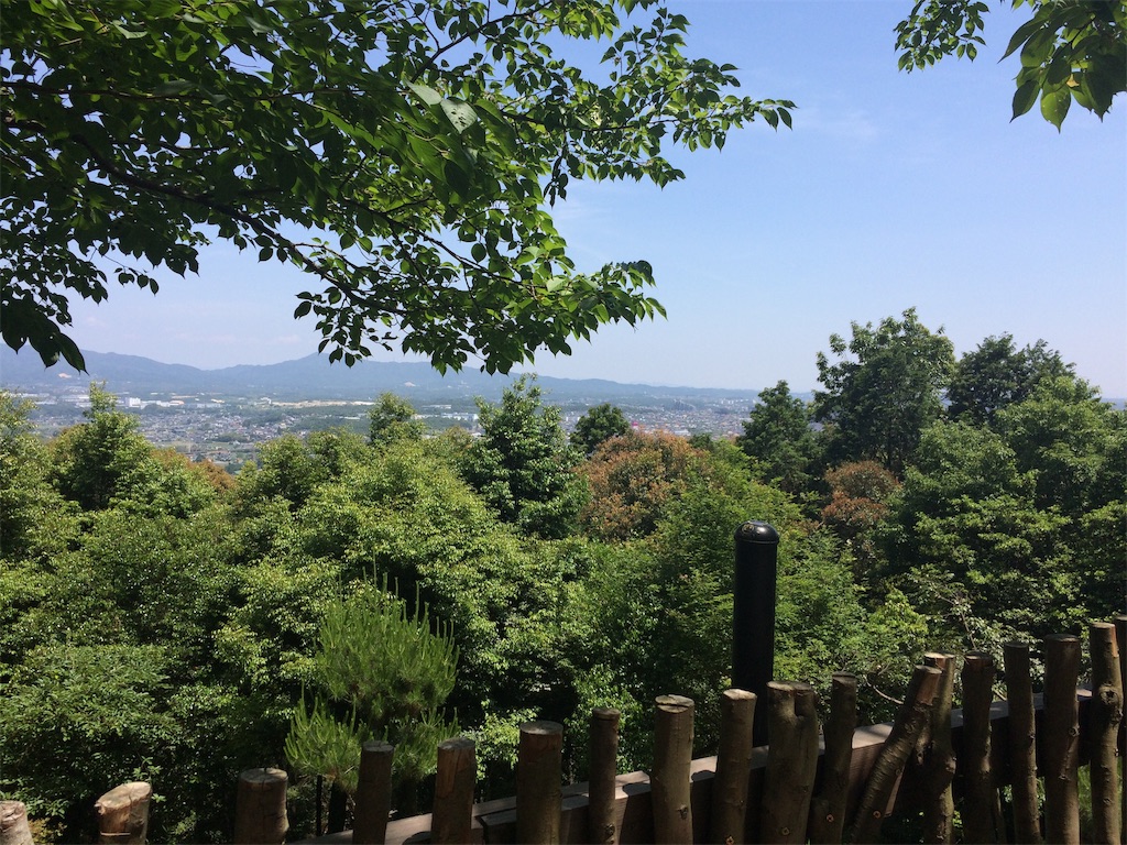 f:id:Camonambam:20190606194926j:image f:id:Camonambam:20190606194926j:image
