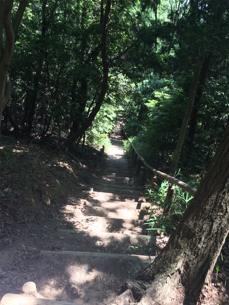 f:id:Camonambam:20190606200937j:image f:id:Camonambam:20190606200937j:image