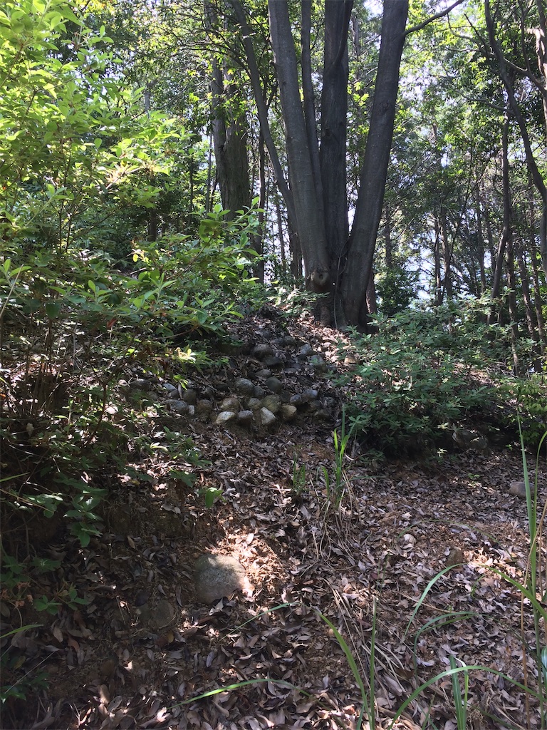 f:id:Camonambam:20190606201437j:image f:id:Camonambam:20190606201437j:image