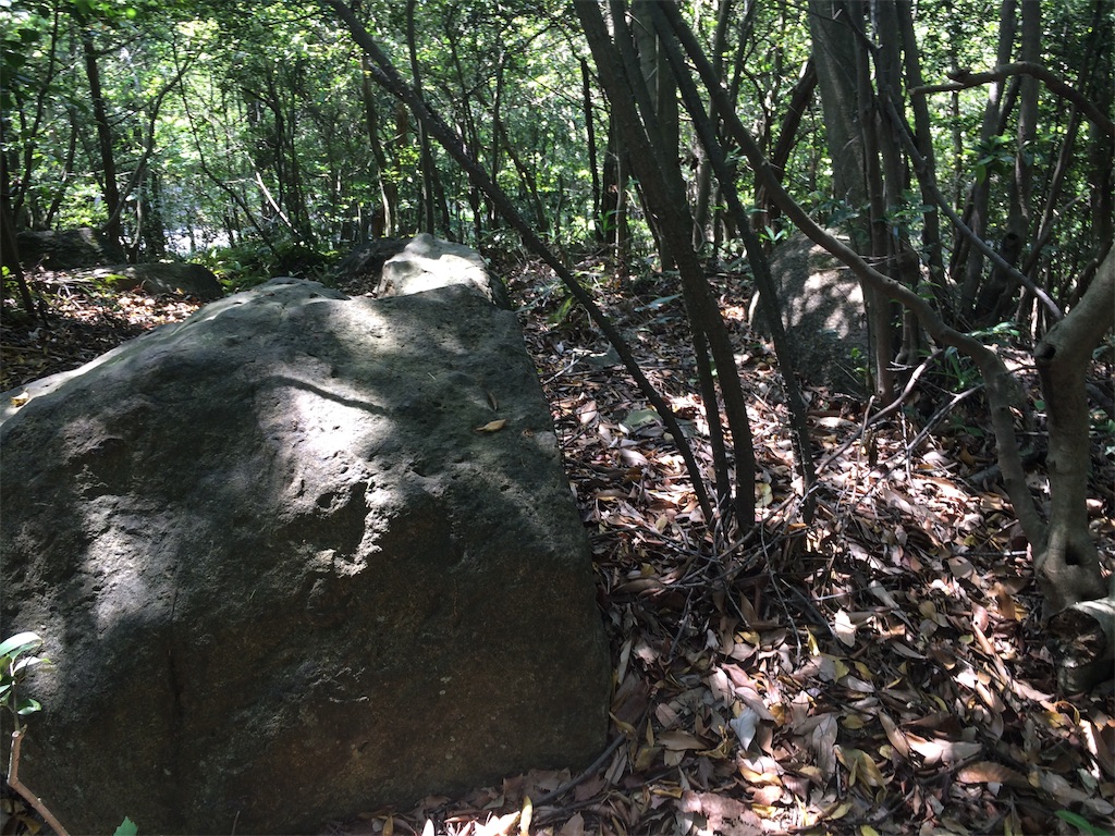 f:id:Camonambam:20190606220213j:image f:id:Camonambam:20190606220213j:image