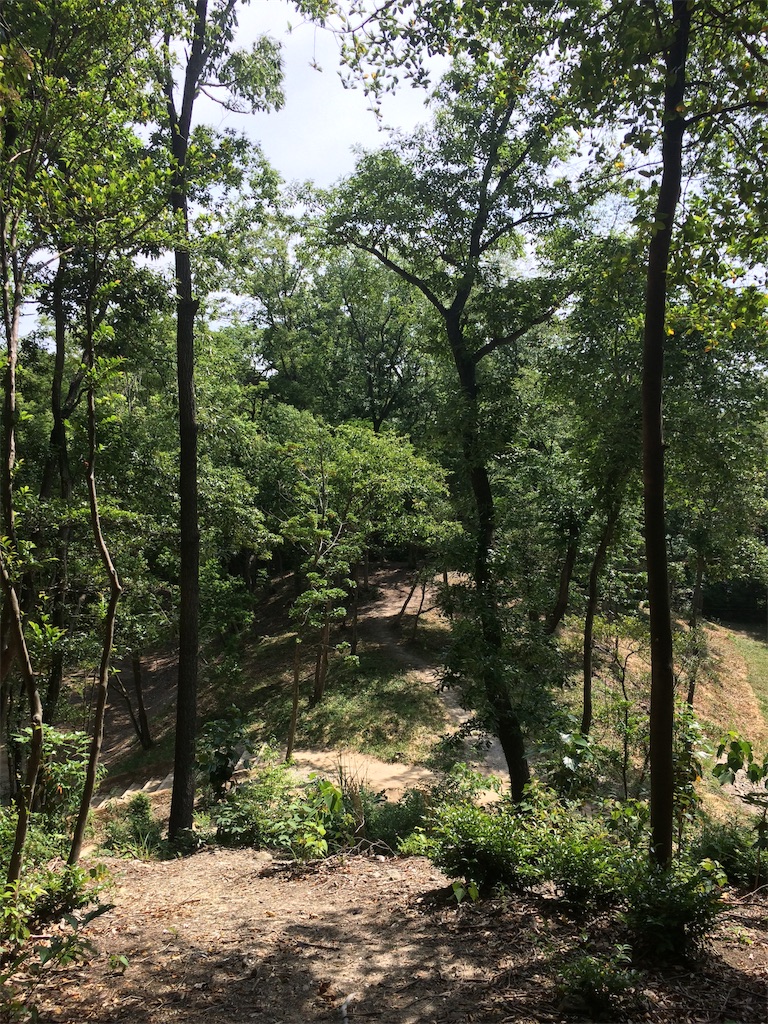 f:id:Camonambam:20190606223631j:image f:id:Camonambam:20190606223631j:image