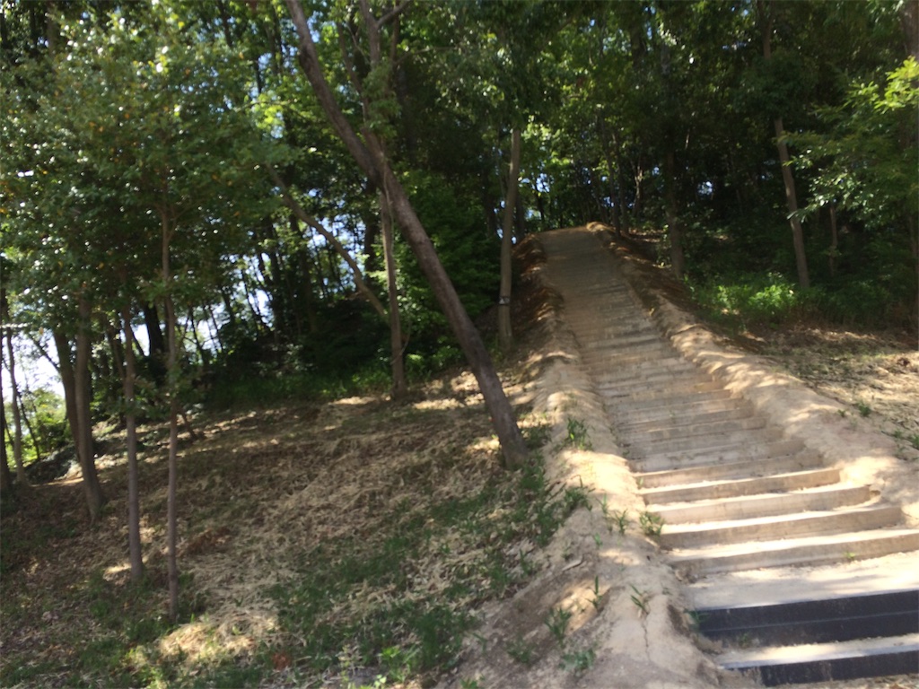 f:id:Camonambam:20190606223705j:image f:id:Camonambam:20190606223705j:image
