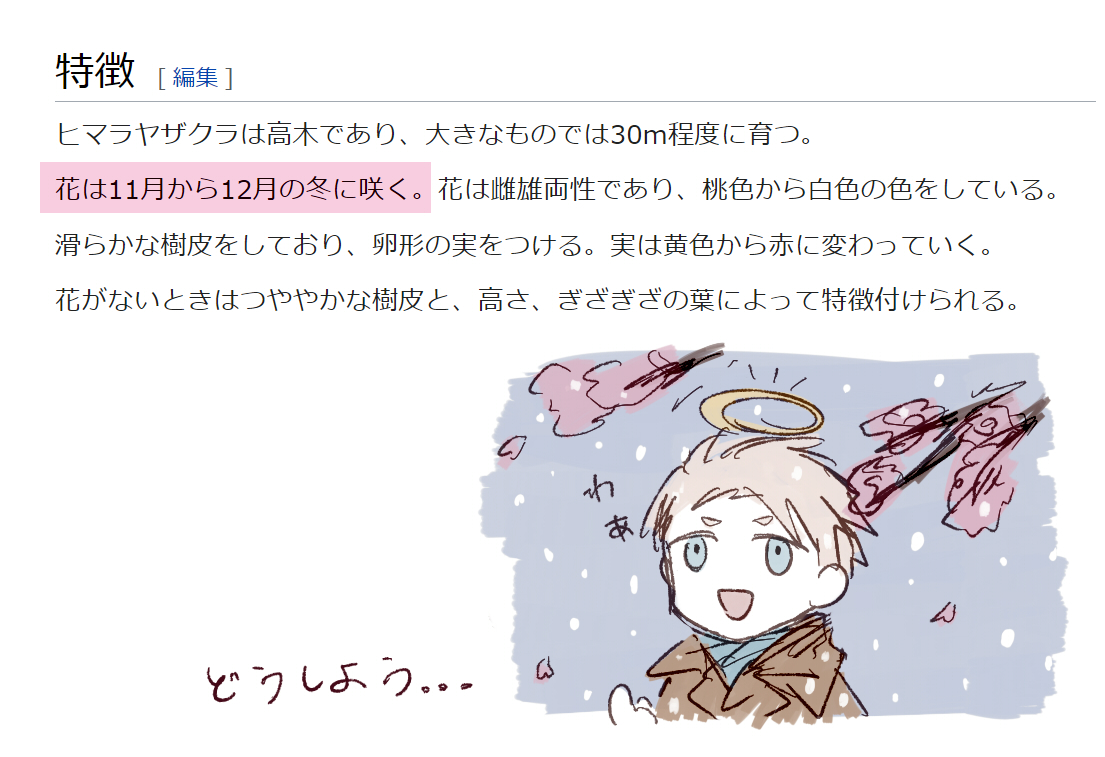 f:id:CampVII:20220408212732j:plain