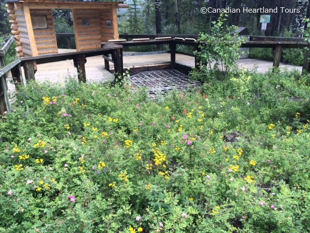 f:id:CanadianHeartlandTours:20160710144754j:plain f:id:CanadianHeartlandTours:20160710144754j:plain