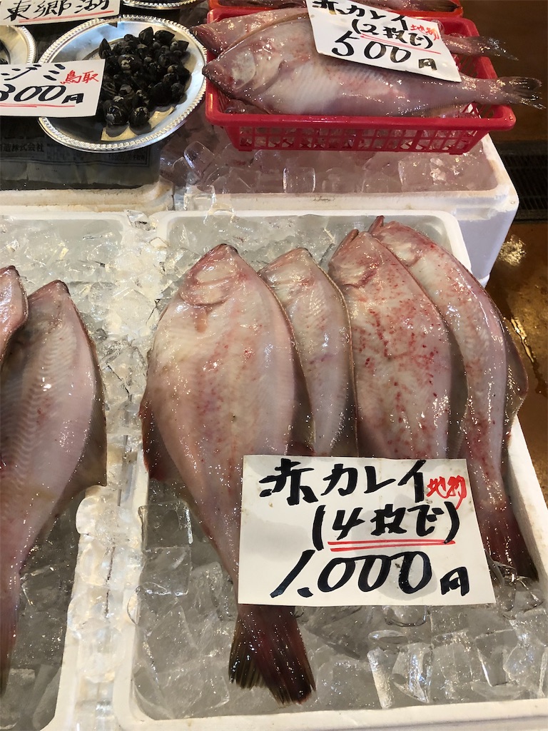 f:id:Canau:20190308185900j:image