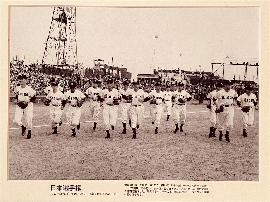 f:id:Cape_Lions:20220220005448j:image