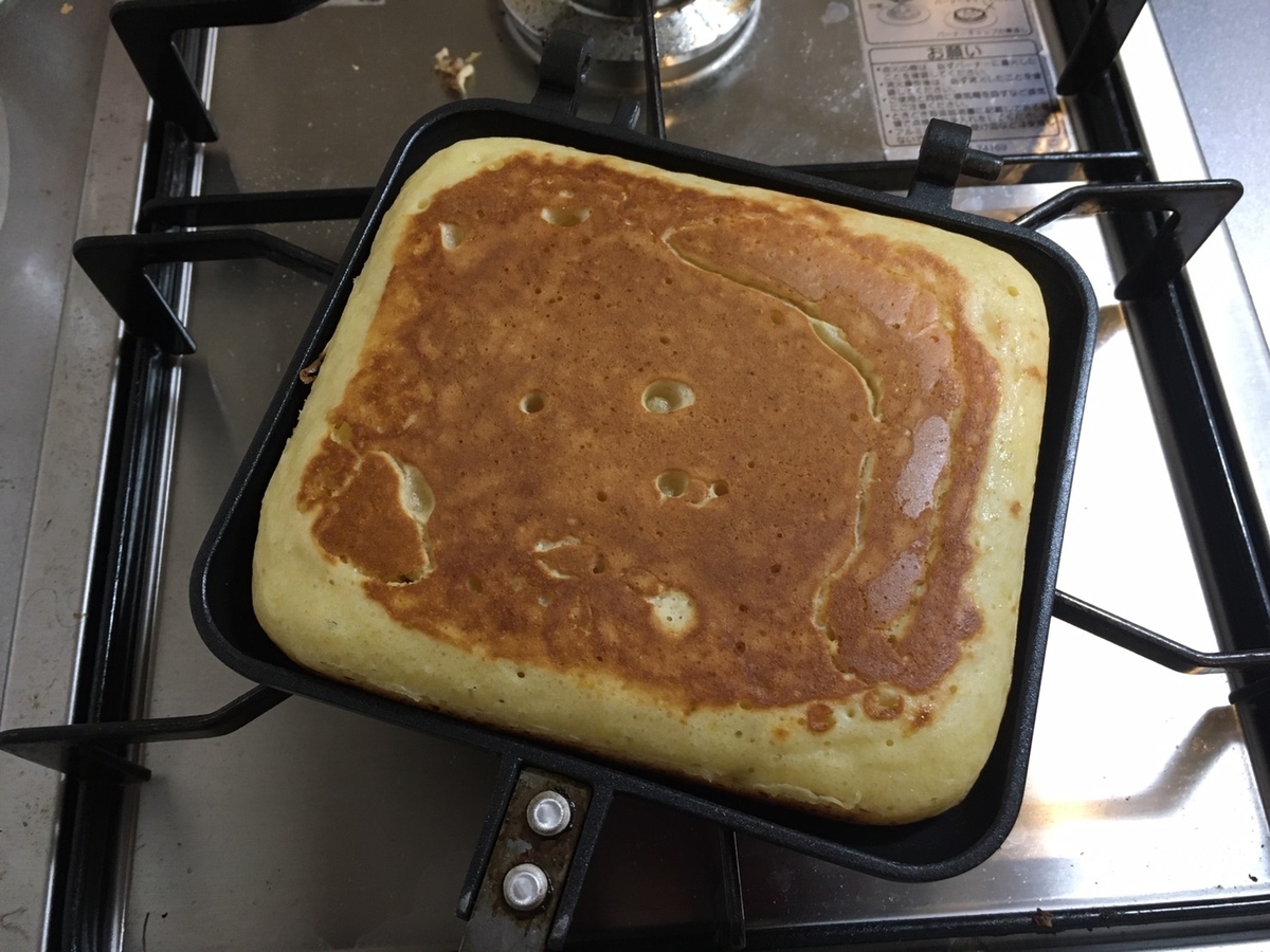 f:id:CapybaraTail:20210323231135j:plain