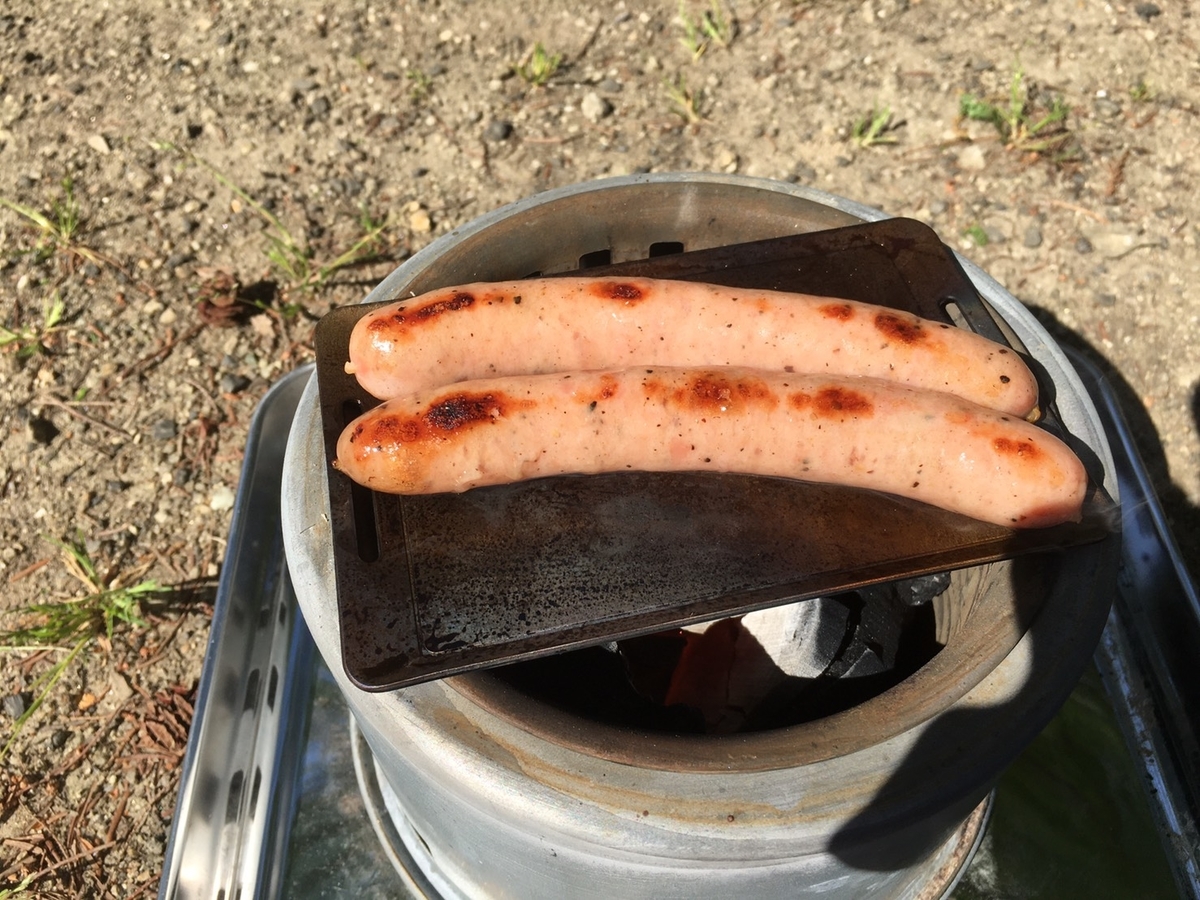 f:id:CapybaraTail:20210509190151j:plain