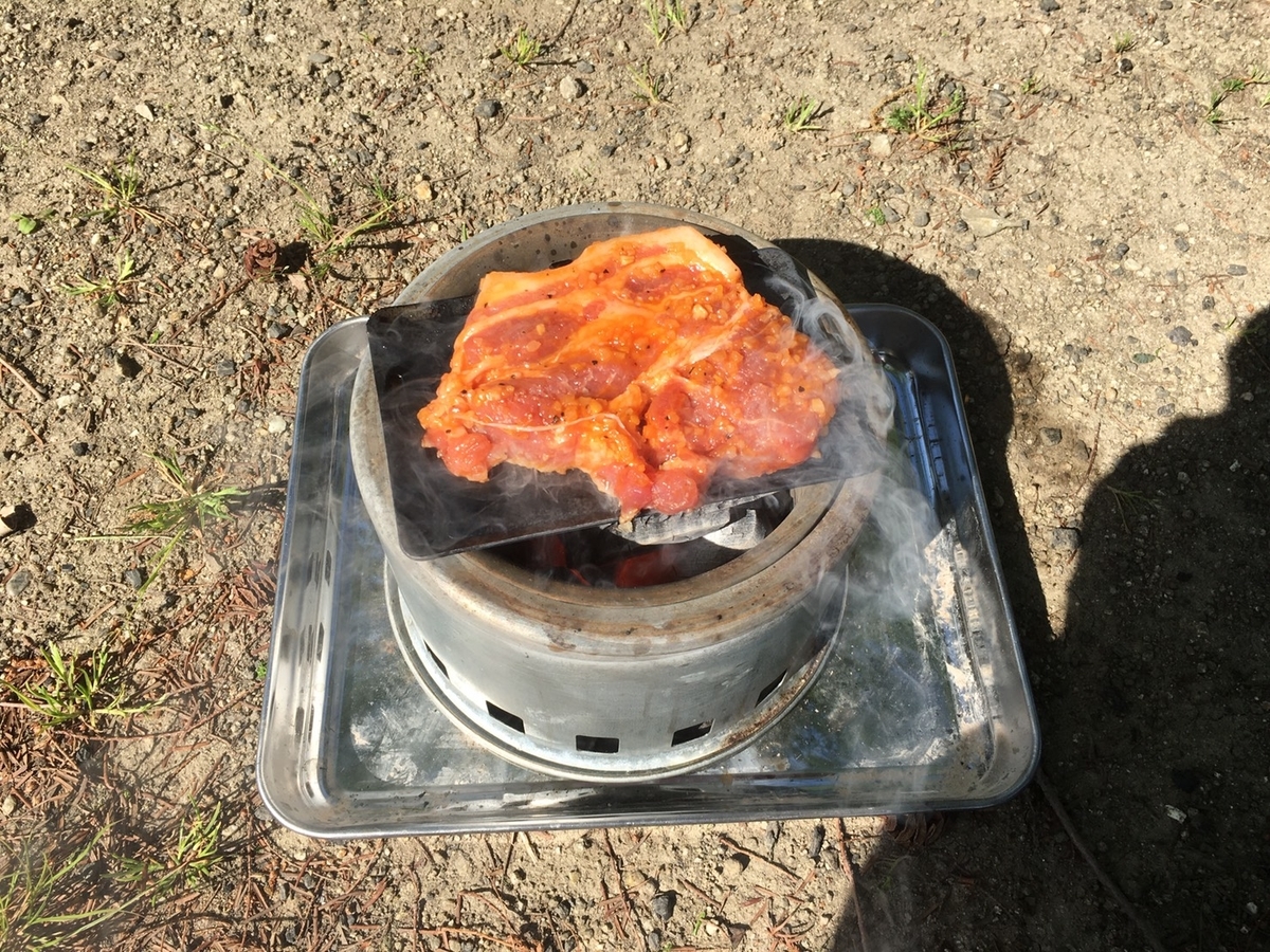 f:id:CapybaraTail:20210509192532j:plain