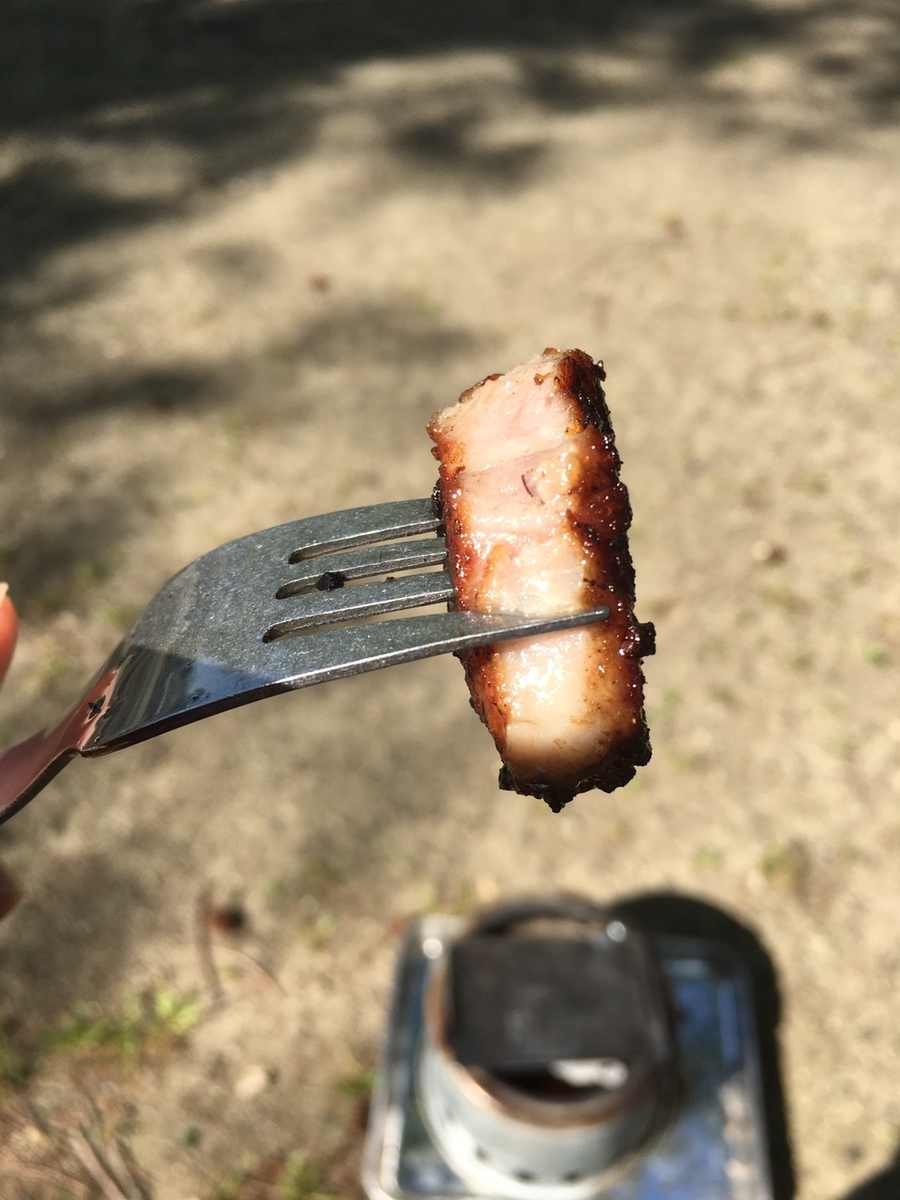 f:id:CapybaraTail:20210509193232j:plain