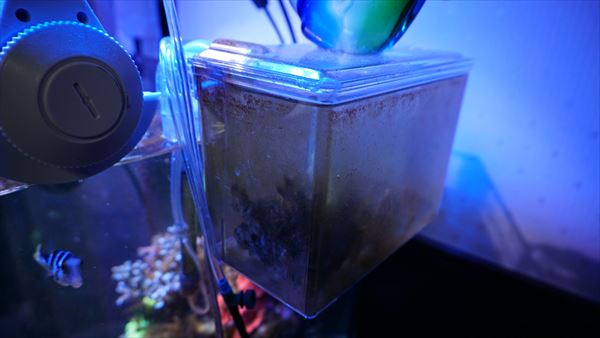 f:id:Capybarawater:20161105135405j:plain f:id:Capybarawater:20161105135405j:plain