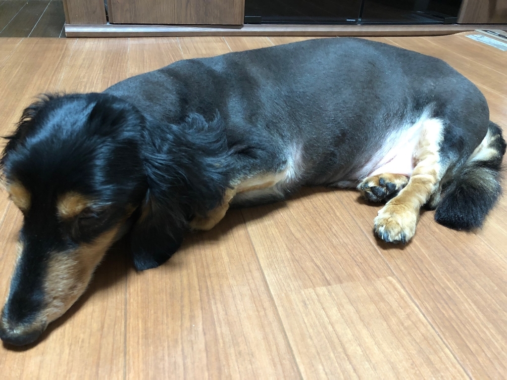 f:id:Capybarawater:20180928172137j:plain
