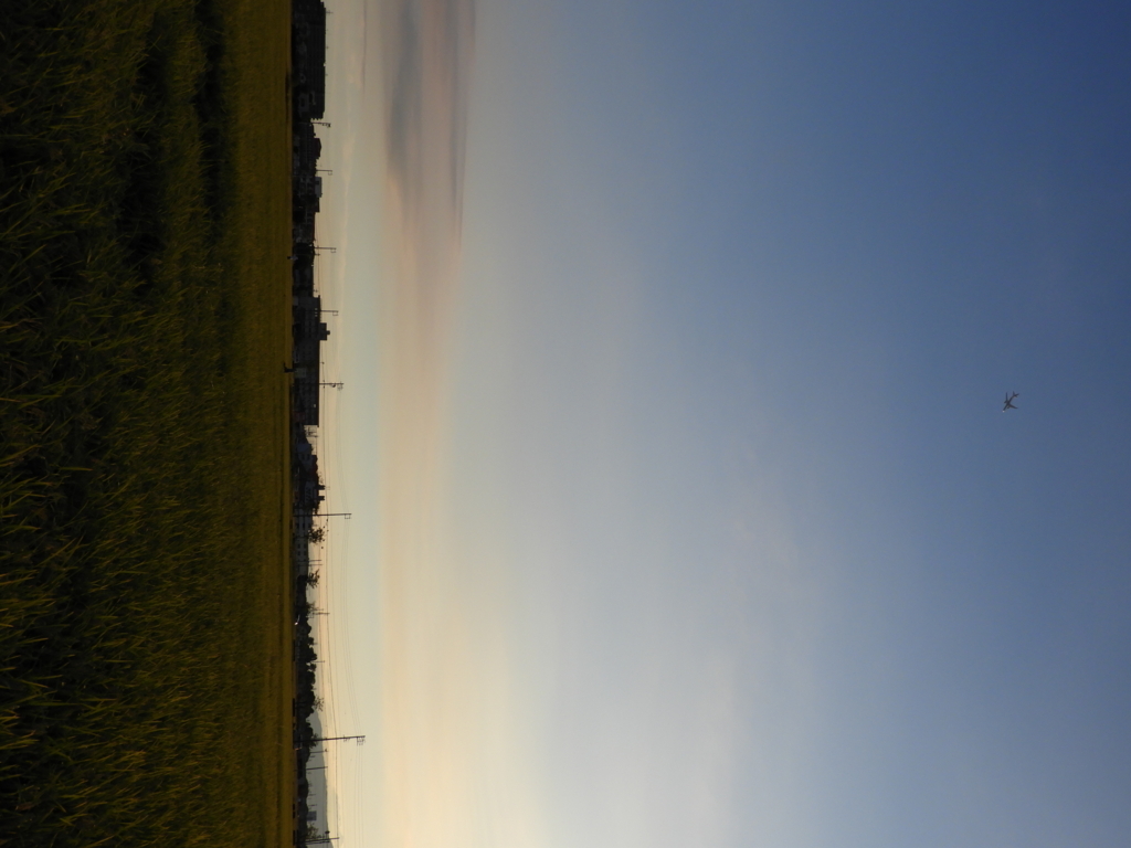 f:id:Carrotcurve:20171022175110j:plain