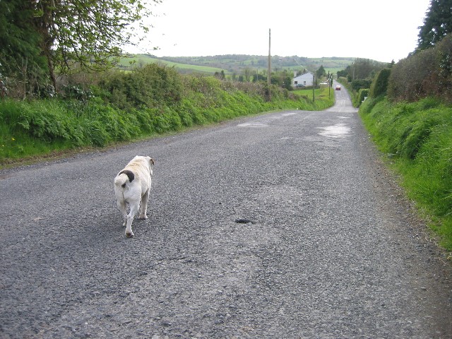 f:id:Cashel:20190301015918j:image f:id:Cashel:20190301015918j:image