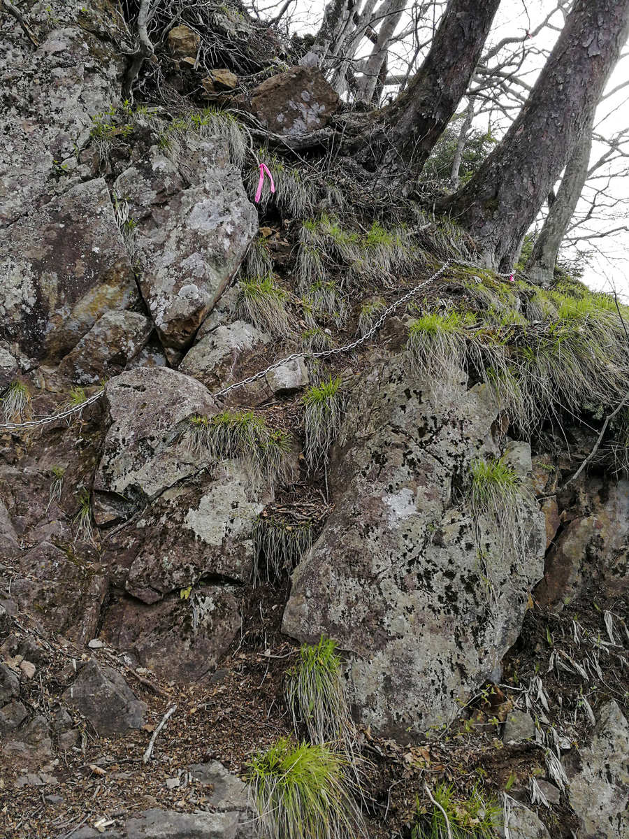 f:id:Cashel:20190512161003j:plain f:id:Cashel:20190512161003j:plain
