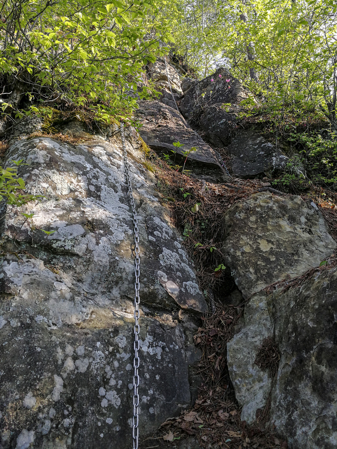 f:id:Cashel:20190521192610j:plain f:id:Cashel:20190521192610j:plain