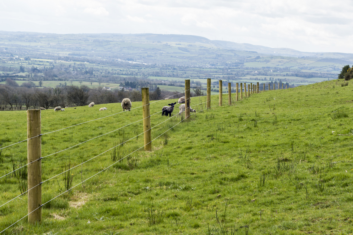 f:id:Cashel:20190528020022j:plain f:id:Cashel:20190528020022j:plain