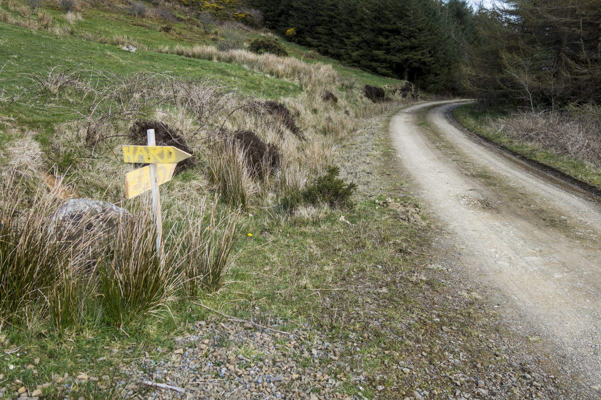 f:id:Cashel:20190528020417j:plain f:id:Cashel:20190528020417j:plain