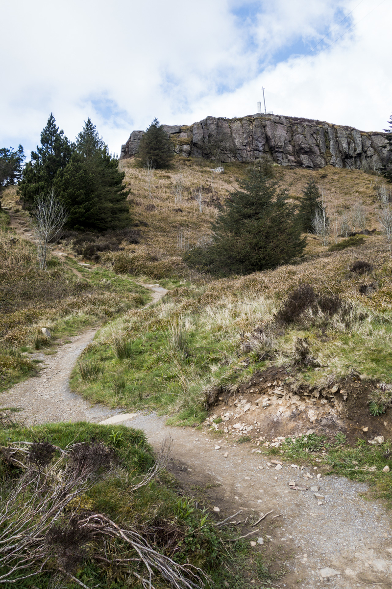 f:id:Cashel:20190528020548j:plain f:id:Cashel:20190528020548j:plain