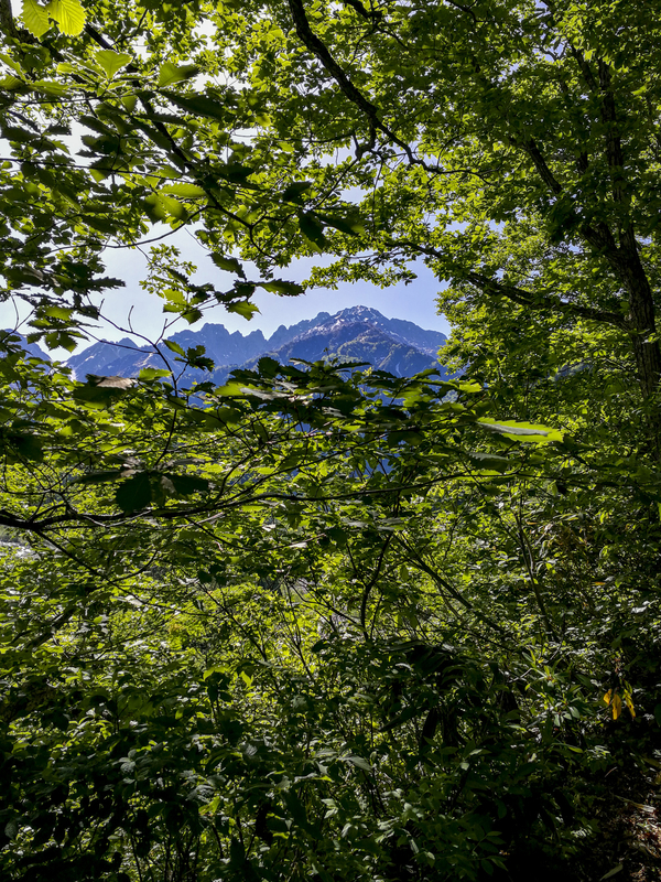 f:id:Cashel:20190605000753j:plain f:id:Cashel:20190605000753j:plain