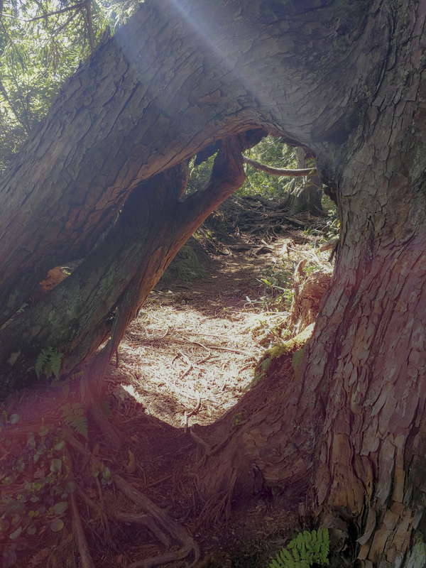 f:id:Cashel:20190605001119j:plain f:id:Cashel:20190605001119j:plain