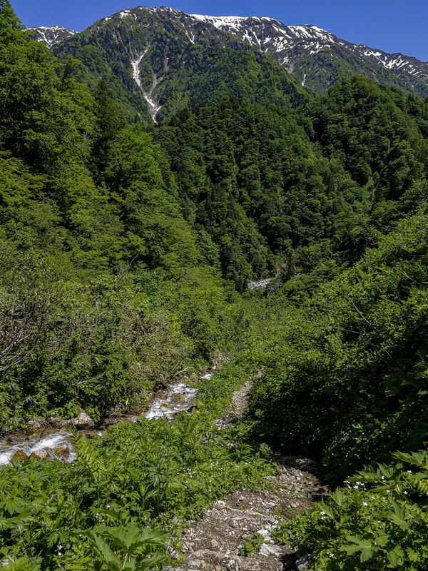 f:id:Cashel:20190605004633j:plain f:id:Cashel:20190605004633j:plain