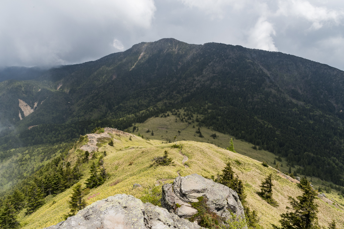 f:id:Cashel:20190622170638j:plain f:id:Cashel:20190622170638j:plain