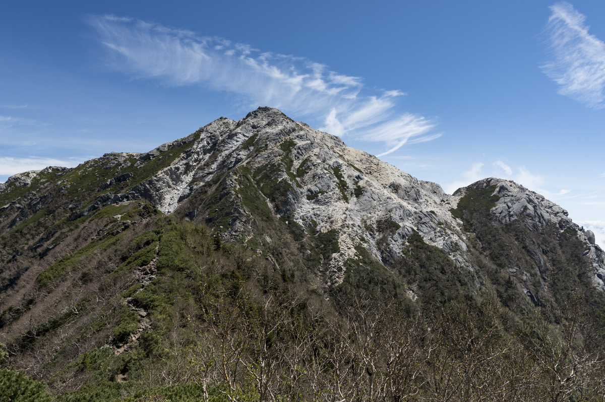 f:id:Cashel:20190630162106j:plain f:id:Cashel:20190630162106j:plain