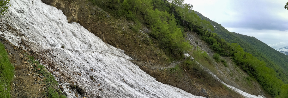 f:id:Cashel:20190705003504j:plain