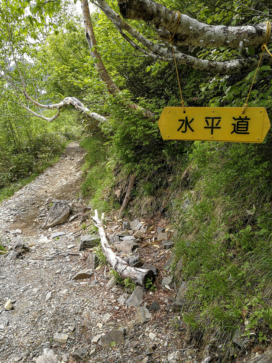 f:id:Cashel:20190705003757j:plain f:id:Cashel:20190705003757j:plain