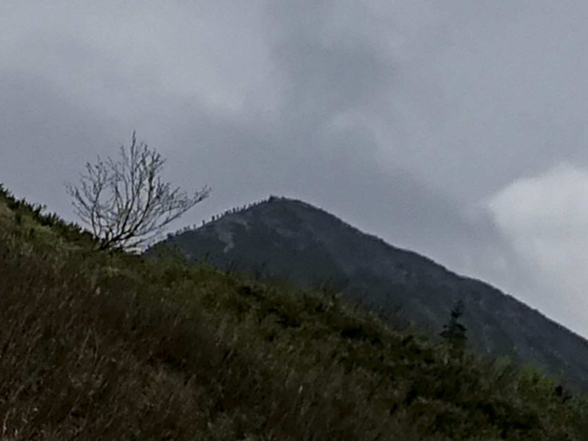 f:id:Cashel:20190705004357j:plain