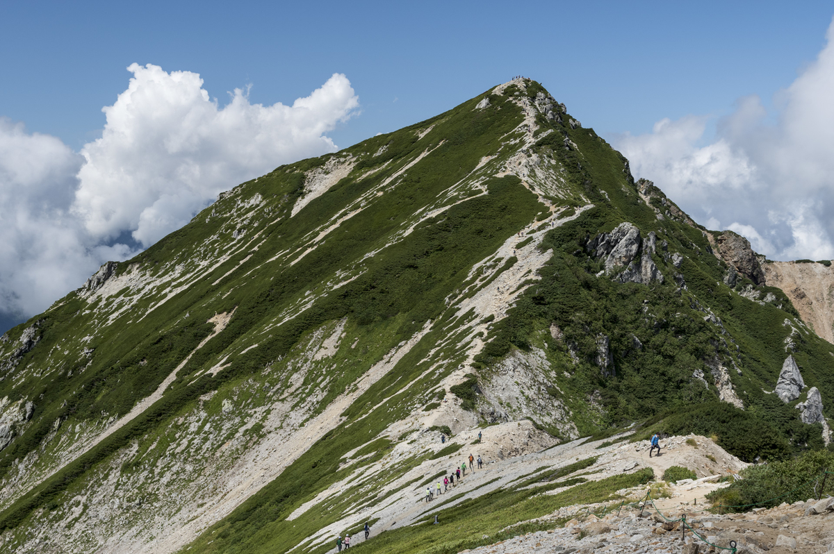 f:id:Cashel:20190826234754j:plain f:id:Cashel:20190826234754j:plain